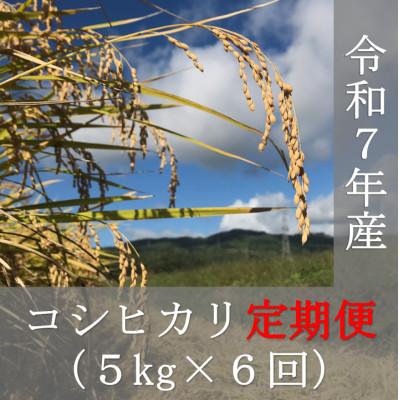 ふるさと納税 喜多方市 【毎月定期便】福島県喜多方市産コシヒカリ精米5kg全6回
