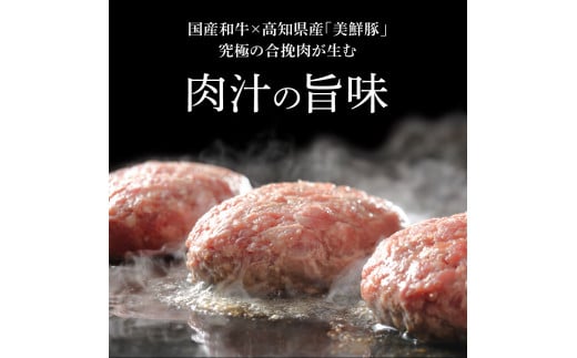 ＜高騰に伴い2025年1月1日以降、寄附額改定予定＞食べ比べ！老舗レストランの国産牛・美鮮豚ハンバーグ130g×6ケ＋ソース3種各1袋 ハンバーグ セット 13000円 トマトソース デミグラス 牛肉