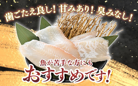 若狭の活〆天然ヒラメ 400g以上 お刺身用柵【 国産 天然 ヒラメ ひらめ 】[m36-b014]