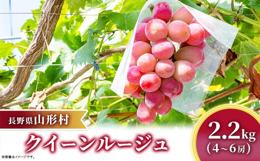 
                  クイーンルージュ 約2.2kg（4～6房）長野県山形村 2414
                