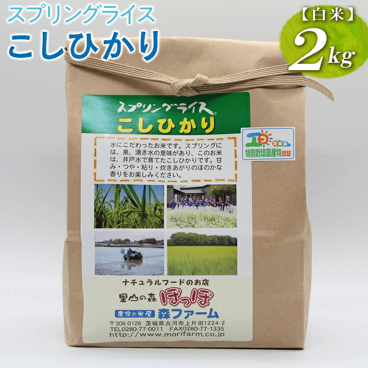 【ふるさと納税】【新米】スプリングライス こしひかり (白米)2kg ｜ 米 こめ コメ 2キロ 精米 白米 こしひかり コシヒカリ 古河市産 茨城県産 取り寄せ お取り寄せ ギフト 贈答 贈り物 プレゼント お中元 お歳暮 茨城県 古河市 直送 農家直送 ※2026年9月〜発送 _BI24