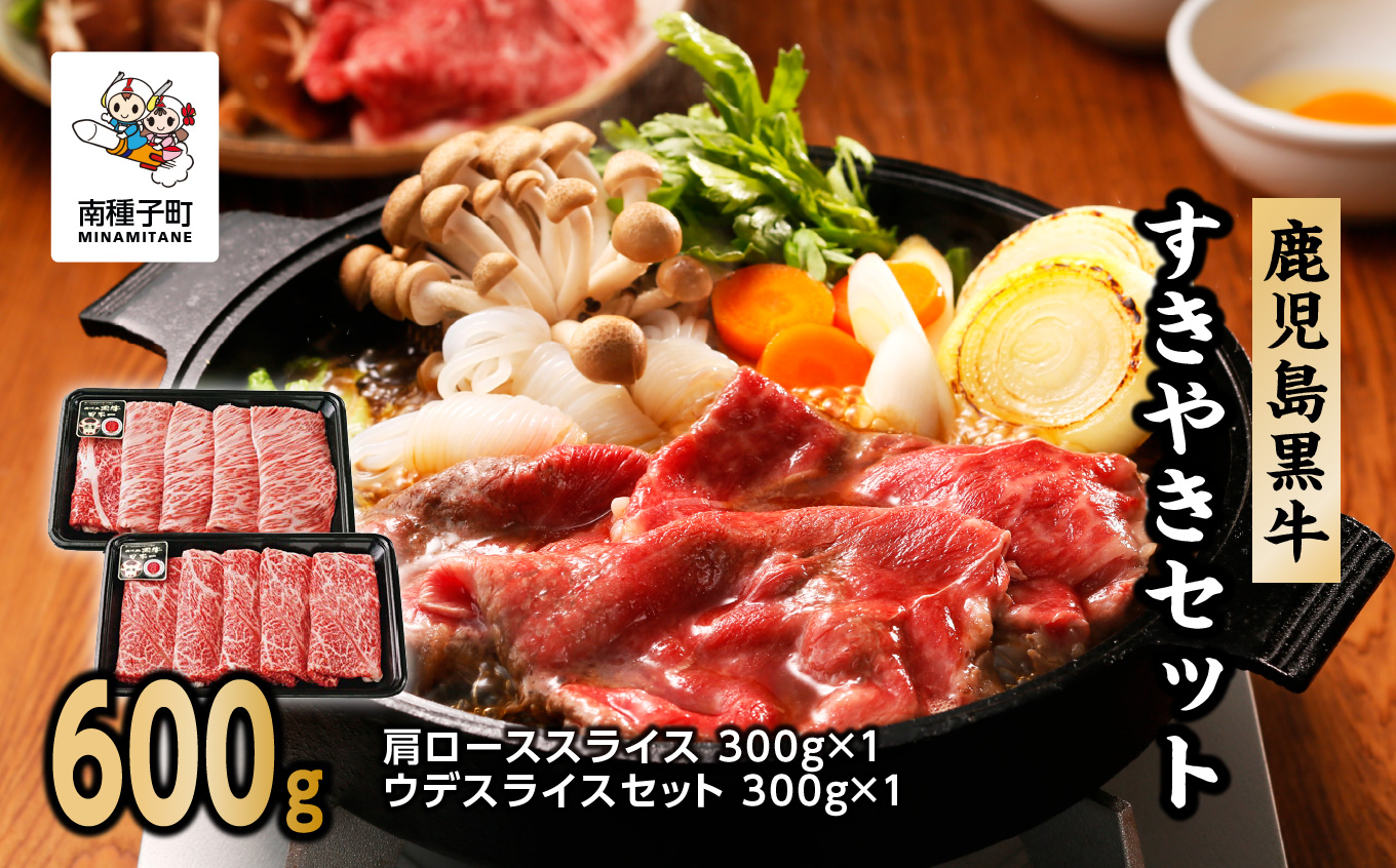 鹿児島黒牛すきやきセット（600g） D-101【種子屋久農業協同組合】
