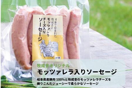 ＜牧成舎＞飛騨の牛乳屋こだわり乳製品贅沢セット（牛乳・ヨーグルト・チーズ・ソーセージ） DF027