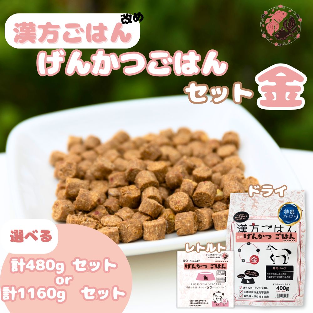 【ふるさと納税】 ペットフード 犬 げんかつごはん 【 選べる 容量 】 漢方ごはん 金 ドライタイプ レトルト 計480g 計1160g セット 愛犬用 ノンオイルコーティング 馬肉 食養生 薬膳 総合栄養食 安心素材 北海道食材 漢方食材 着色料 保存料 酸化防止剤不使用 北海道 札幌市