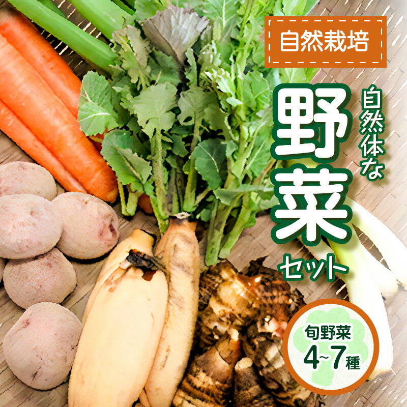 【ふるさと納税】《レビューキャンペーン》＜京都産＞自然体な野菜セット 旬の野菜 4〜7種類