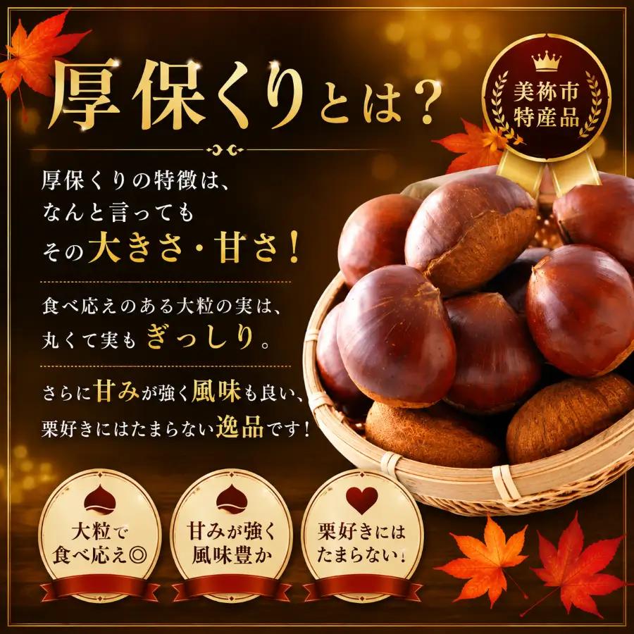 【先行予約】甘くて デカい ! 厚保くり ( 生栗 ) 3kg 山口美祢産 先行予約 ＜2026年10月上旬 ～ 11月中旬 発送予定＞