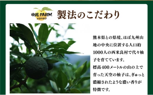 天空の柚子胡椒「青と青」35ｇ×3本セット