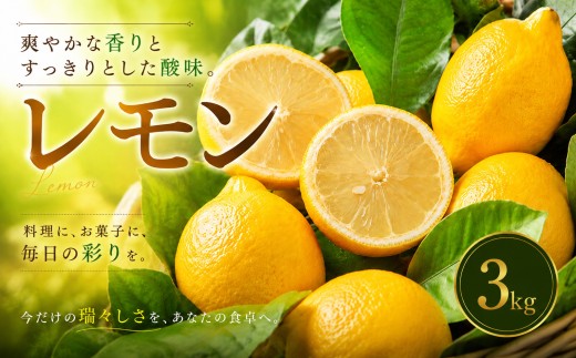 【選び抜いた一箱】 香り際立つ 【レモン】 3kg 愛媛県産 【2027年1月中旬頃から順次発送】 | れもん レモン lemon 檸檬 訳あり フルーツ 柑橘 果物 おすすめ お勧め お取り寄せ ギフト 愛媛県 松山市