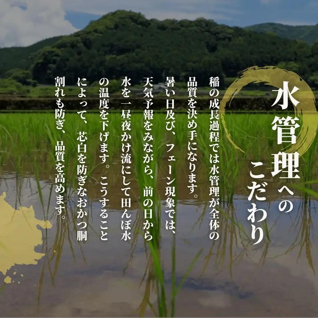 【先行予約】令和8年産 新米 無洗米 食べ比べ 2kg(コシヒカリ1kg・新之助1kg) | 米 五泉市 新潟県産 無洗
