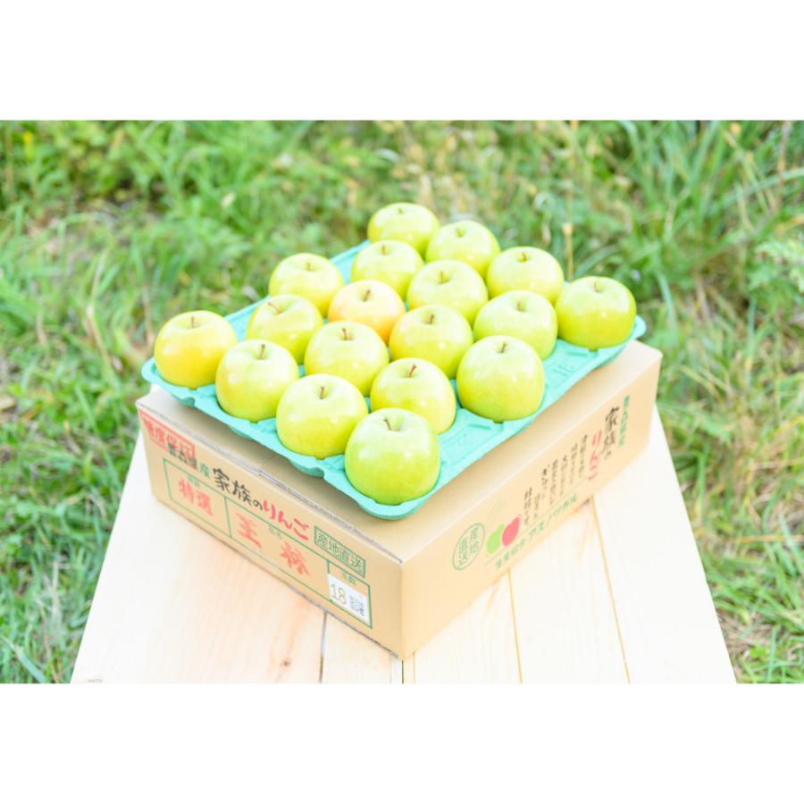 王林贈答用10kg/平均糖度13度以上(2月発送)