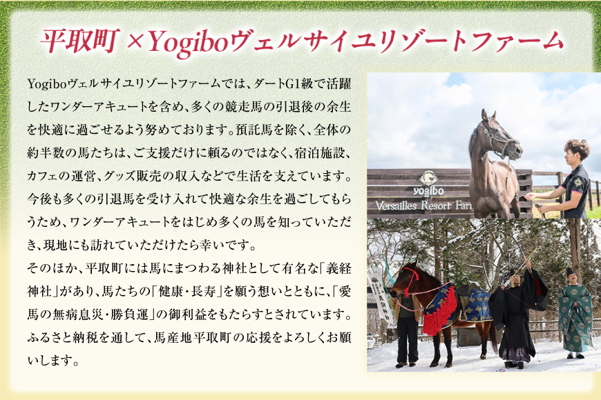 【ワンダーアキュート画伯】厚手トートバッグ BRTV213_イメージ5