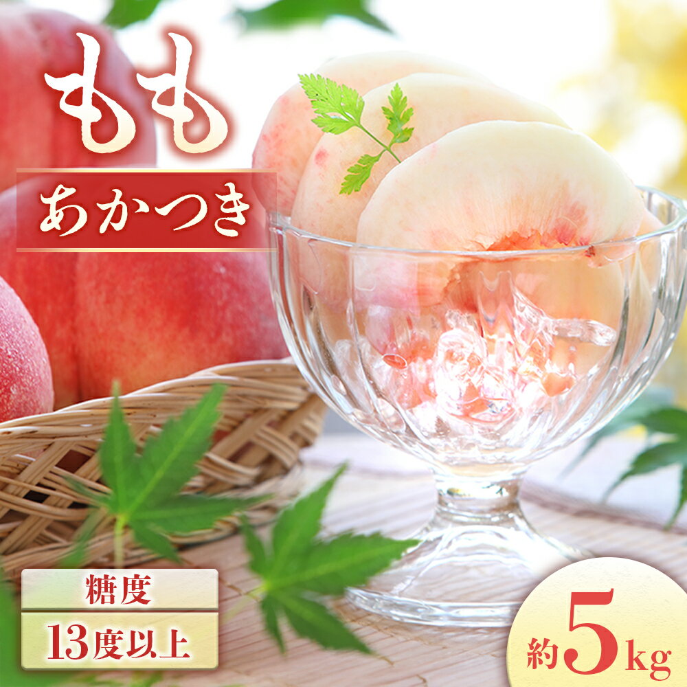 【ふるさと納税】【2026年発送先行予約】桃　あかつき 約5kg（10〜18玉）　※2026年7月下旬〜8月初旬発送予定※