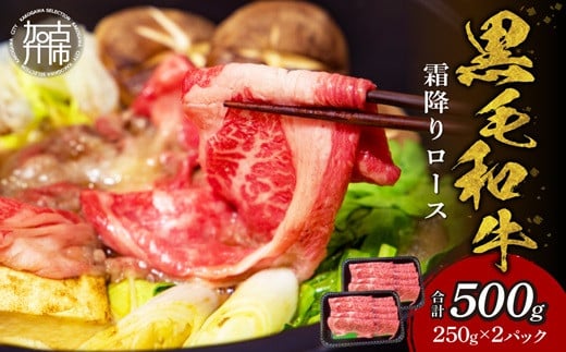 
【肉のまち かこがわ】黒毛和牛 霜降ロース スライス 250g×2 《 黒毛和牛 和牛 霜降ロース ロース お肉 薄切り 》
