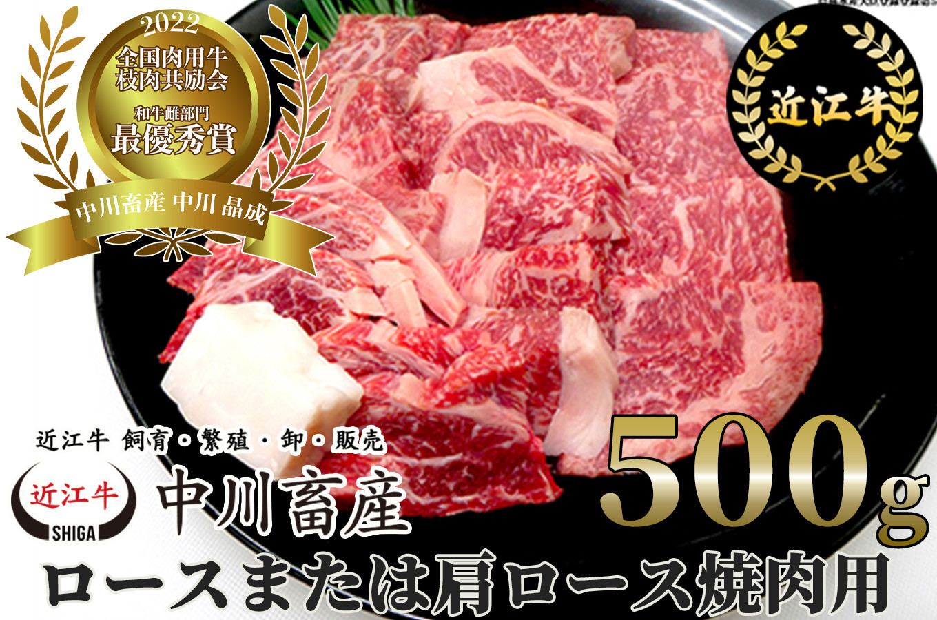 
                  全国肉用牛枝肉共励会最優秀賞受賞中川牧場の近江牛ロースまたは肩ロース焼肉用500g髙島屋選定品 滋賀県 東近江市 C-E10  焼肉 和牛 牛肉
                