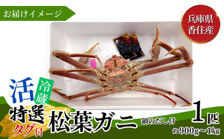 【先行予約】特選 活 松葉がに 生 1匹（約900g～1kg）冷蔵 【令和8年11月中旬以降発送予定】かに カニ 33-27