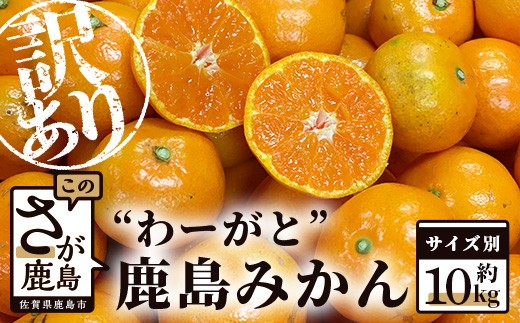 【先行予約】【2026年11月上旬～発送】 ”わーがと” 鹿島産がばい訳アリみかん 約10kg サイズ別【着日指定不可】| みかん 訳あり 10kg ミカン 温州みかん 蜜柑 柑橘 果物 フルーツ くだもの 甘い 佐賀県 鹿島市 A-90