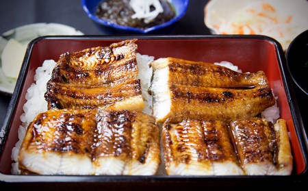 うなぎ 鹿児島県産　うなぎ蒲焼　約70g×3枚【タレ・山椒付】 