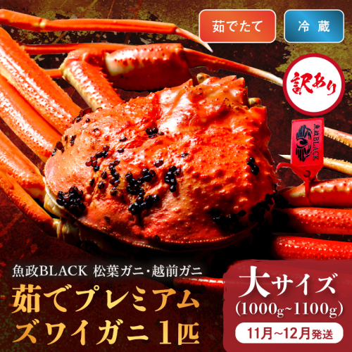 訳あり　【蟹の匠 魚政】茹で　プレミアムズワイガニ 魚政BLACK（松葉ガニ・越前ガニ） 大サイズ（1000～1100g） 1匹(11月～12月発送)