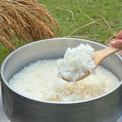 ふるさと納税 多古町 多古米セレクション　萩原佐千穂さんの多古米コシヒカリ　精米10kg　令和7年産 |  | 02