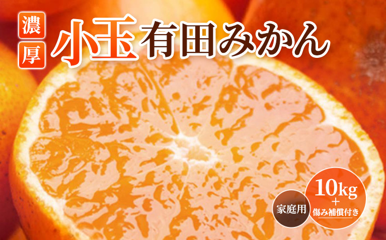 ［先行予約］家庭用 小さな有田みかん10kg+250g（傷み補償分）［2026年10月初旬から2027年1月末日頃順次発送予定］［IKE223］