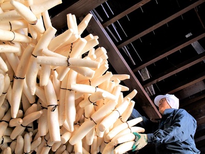 きむらや いぶりがっこと秋田漬物詰合せ10点セット 雪国の朝  【(株)雄勝野きむらや】[B7-4301]
