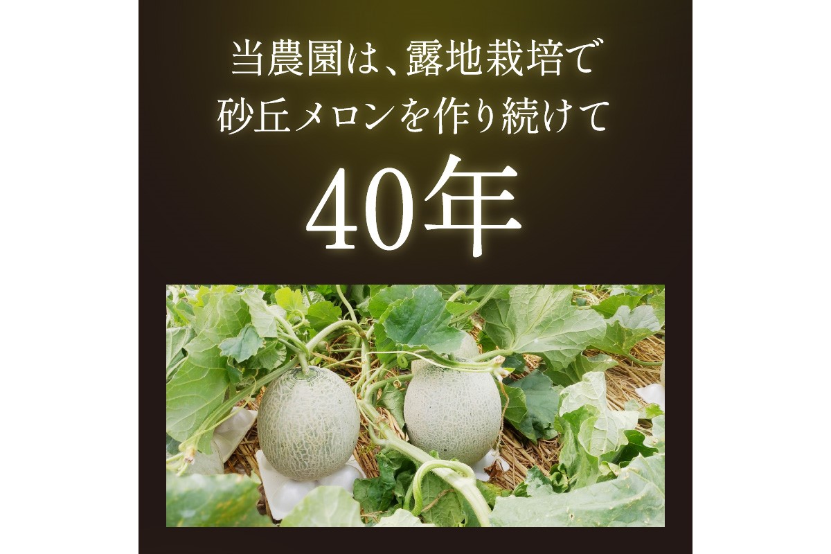 【先行予約／数量限定500】京丹後産 砂丘メロン 大玉2L以上 1玉（2025年7月下旬～発送）　HF00003