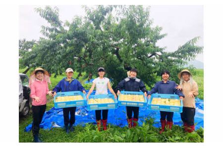 樹熟し 白桃 2kg 糖度15度以上 【極甘】 ＜8月上旬頃から8月下旬頃発送＞ _S117