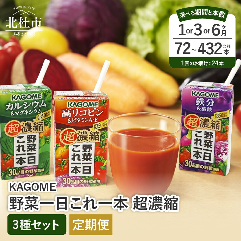 【ふるさと納税】 選べる回数 定期便 1回 ～ 6回 カゴメ 野菜一日これ一本 超濃縮 カルシウム＆マグネシウム 高リコピン＆ビタミンA・E 鉄分&葉酸 125ml 紙パック 24本入 野菜ジュース 濃縮ジュース KAGOME 健康志向 飲料 健康食品 仕送り ギフト 防災 送料無料