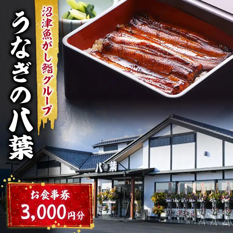 お食事券 静岡 うなぎの八葉 沼津魚がし鮨グループ 3000円分 うなぎ 寿司 天ぷら 和食 富士山 食事 券 チケット 静岡県 裾野 裾野市