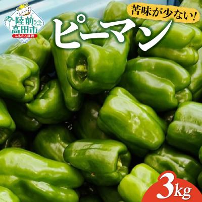 ふるさと納税 陸前高田市 獲れたて ピーマン 約3kg 野菜 夏野菜 新鮮 Farm Koganeyama