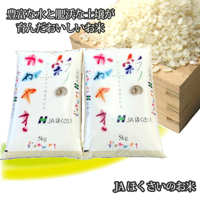 【ふるさと納税】行田市産「彩のかがやき」精米10kg（5kg×2） ／ お米 白米 ごはん 送料無料 埼玉県 No.296