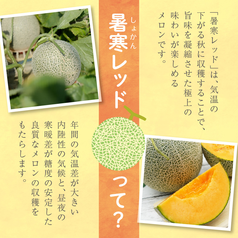 【 7月青肉・9月赤肉発送】北海道の贅沢　暑寒メロン食べ比べ2回便 【各1玉づつ】メロン 定期便 食べ比べ 先行予約 北海道 赤肉 青肉 糖度 14度以上 2026年 7月 9月 ブランドメロン