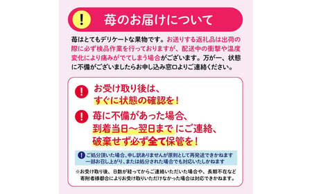 【先行予約】いちご 古都華いちご大粒1P【2027年1月～順次発送】