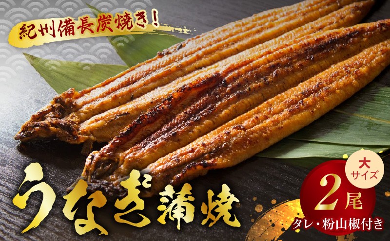 
V6206_炭焼きうなぎ蒲焼　大サイズ2尾セット（約150～199g×2尾）タレ・粉山椒付き　国産鰻　冷凍ウナギ　1尾ずつ真空パック　土用の丑の日　紀伊国屋文左衛門本舗
