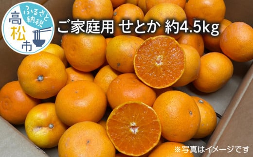 ご家庭用　せとか　約4.5kg【2025年2月中旬～2025年3月下旬配送】