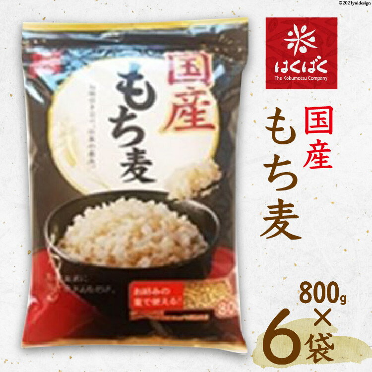 【ふるさと納税】国産もち麦 800g×6袋 [はくばく 山梨県 中央市 21470637] もち麦 もちむぎ 大麦 むぎ ムギ 麦 穀物 食物繊維