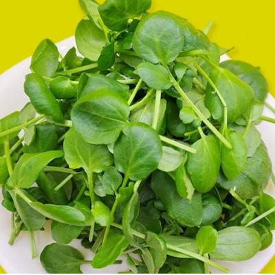 ふるさと納税 播磨町 食用のエディブルフラワー(生花)×2パック・サラダクレソン×1袋【Aセット】 |  | 02