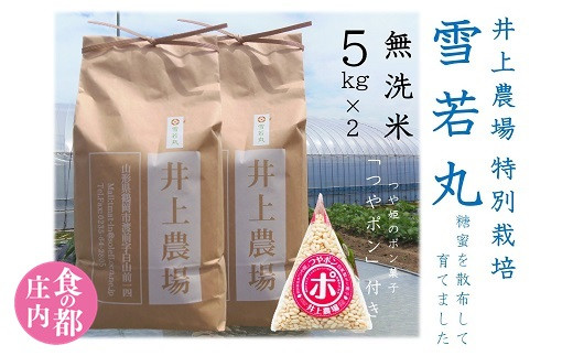 
食の都庄内　井上農場の【無洗米（精米）】特別栽培米雪若丸10kgつやポン付（令和6年産新米予約）
