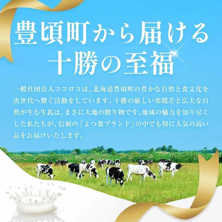 北海道 十勝 よつ葉 加塩バター 12個セット バター 《30日以内に出荷予定(土日祝除く)》