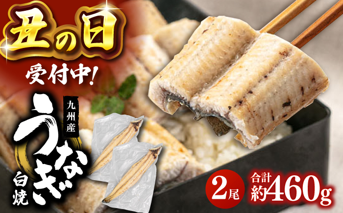 
            【土用丑の日 受付中！】鹿児島産 うなぎ 白焼 2尾セット ▼国産 鰻 ウナギ 白焼き 特大 本格 有頭 九州産 丑の日  桂川町/山水商事 [ADAH009]
          