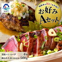 【ふるさと納税】【鰹・豚】お好みAセット枕崎産かつおたたき500g・黒豚ハンバーグ4個(計500g) B3-67【配送不可地域：離島】【1166706】