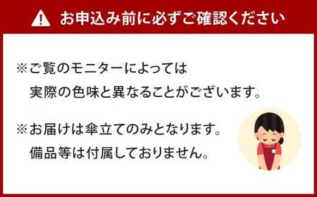 置くだけで美しい。 アイアン傘立て 艶消しブラック 傘立て 傘立 傘たて アンブレラスタンド 傘 玄関 玄関収納 収納用品 福岡県 北九州市