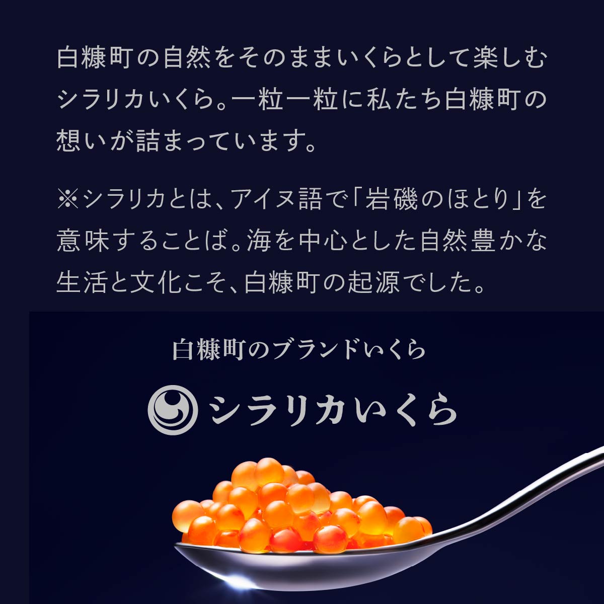 シラリカいくら（醤油味）定期便 【500g（250g×2）×2回／3回／4回】_イメージ3