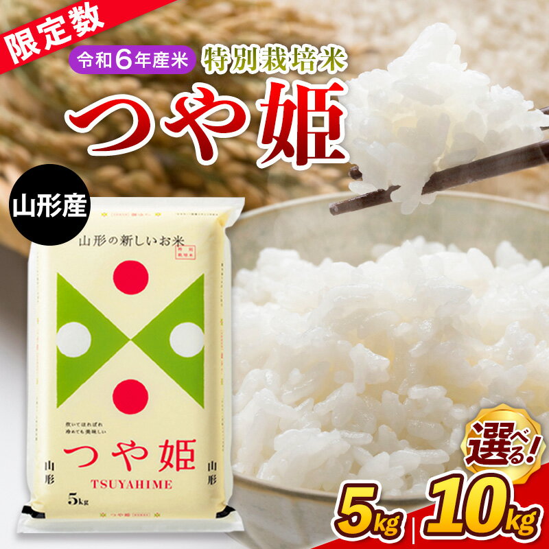 【ふるさと納税】【限定数】令和6年産 山形産 特別栽培米 つや姫 5kg 10kg ( 5kg×2 ) 山形 お取り寄せ 送料無料 ブランド米 選べる 容量