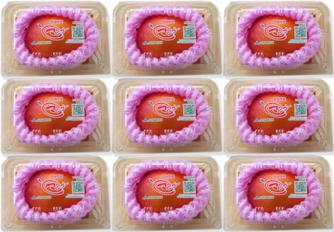 KU256＜数量限定＞宮崎完熟マンゴー(2L×9玉)