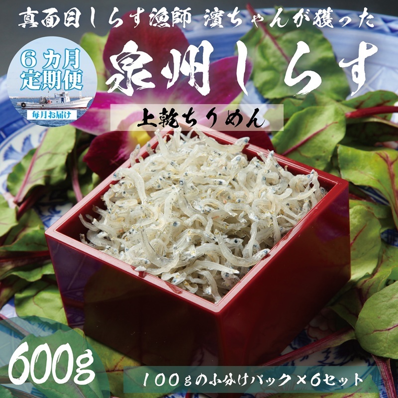 【定期便】泉州しらす （上乾ちりめん）600g×全6回 真面目漁師 濱ちゃんのこだわり G2191