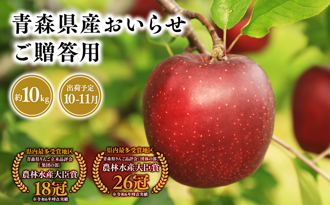 2026年産 １０月・１１月発送　贈答用おいらせ10kg【青森県 平川市 そと川りんご園】１０月～１１月発送 贈答 青森 青森県産 平川 りんご リンゴ 林檎 くだもの 果物 フルーツ