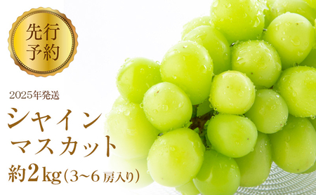 ぶどう 先行予約 シャインマスカット 約2kg 3～6房入り 葡萄 ブドウ フルーツ 果物 シャイン マスカット デザート おやつ 信州 2025年秋発送