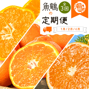 【全3回】紀州和歌山産旬の柑橘定期便(みかん・不知火・清見オレンジ)【UT116】【tkb384】