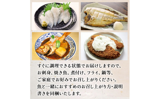 鮮魚 詰め合わせ 2～3kg（4～5種）下処理済み 漁師直送! 宮城県産 鮮魚 内臓処理済 お楽しみ 鮮魚ボックス 詰め合わせ 魚 食べ比べ お魚 とれたて 美味しい 新鮮 海鮮 魚介 刺身 焼き魚 